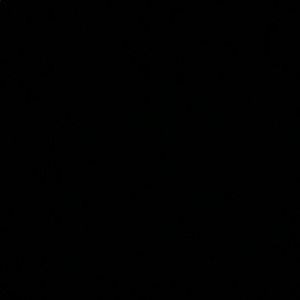 Meet your Posher, Harleen